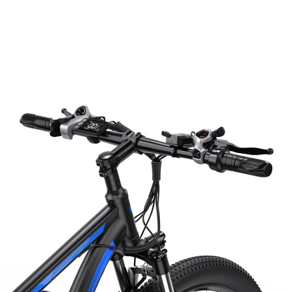 Duotts C29 Electric Bike