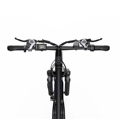 Duotts C29 Electric Bike