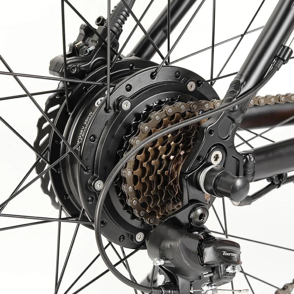 Eleglide M2 Electric Bike