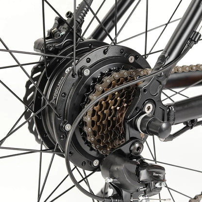 Eleglide M2 Electric Bike