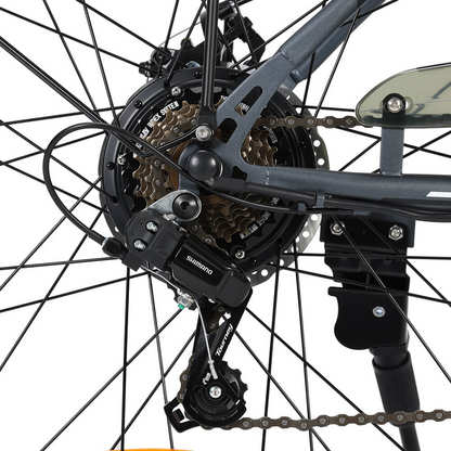 Touroll B1 Electric Bike