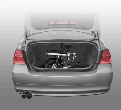 ENGWE T14 Electric Bike