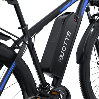 Duotts C29 Electric Bike